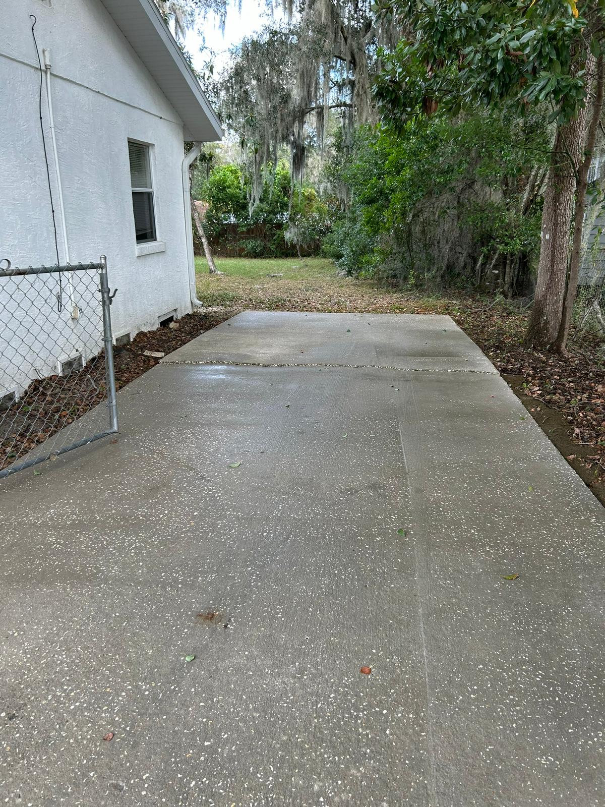 Clean Driveway Before After